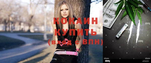 ECSTASY Алзамай