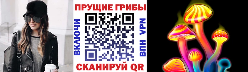 закладка  Заполярный  Псилоцибиновые грибы MAGIC MUSHROOMS 