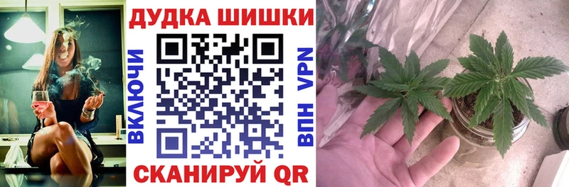 Конопля марихуана  как найти наркотики  Заполярный 